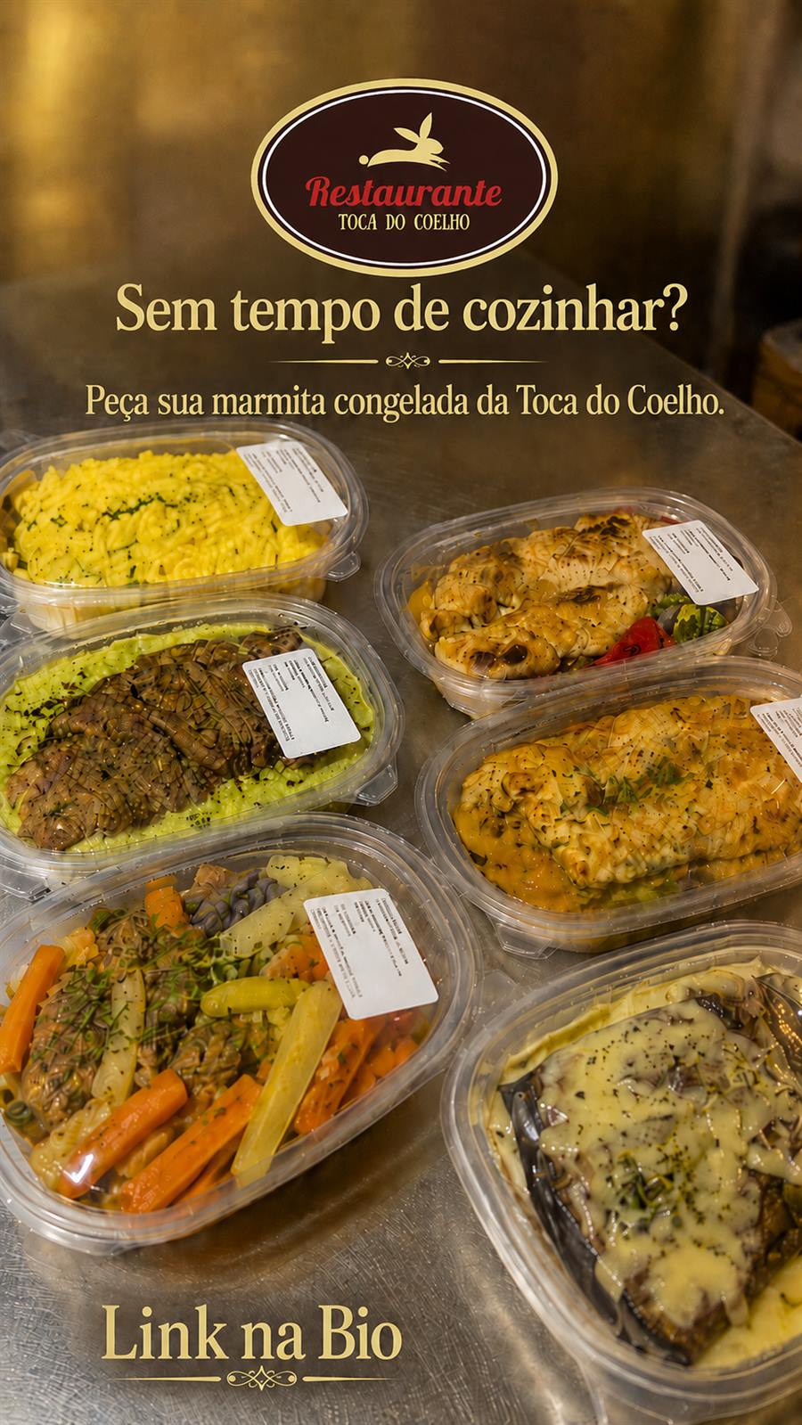 Marmitas fit congeladas da Toca do Coelho em potes de 350g